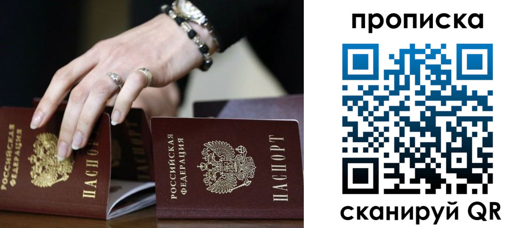 прописка для школы в Фрязино